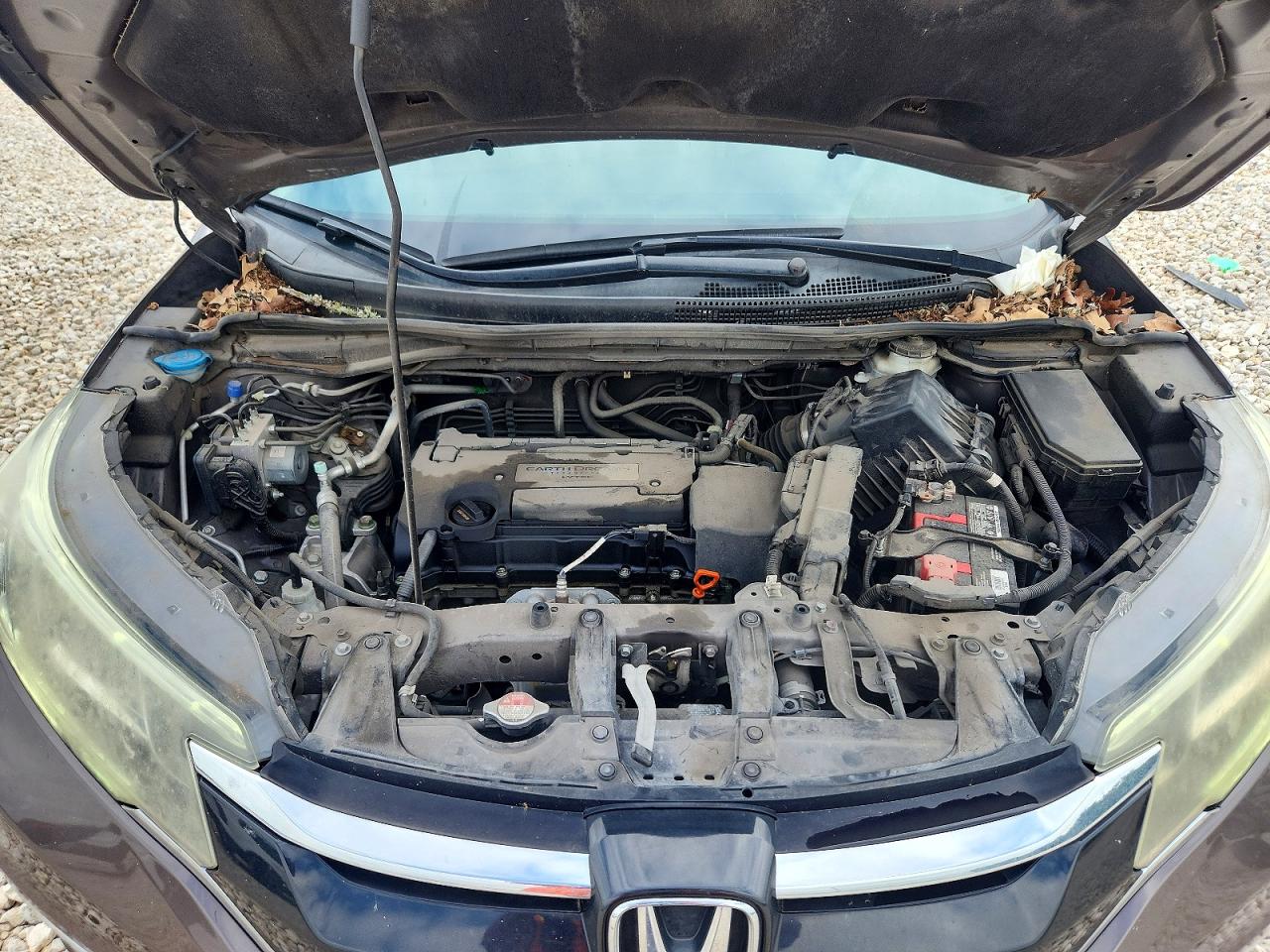 2015 Honda Cr-v Exl Brown vin: 2HKRM3H75FH510211