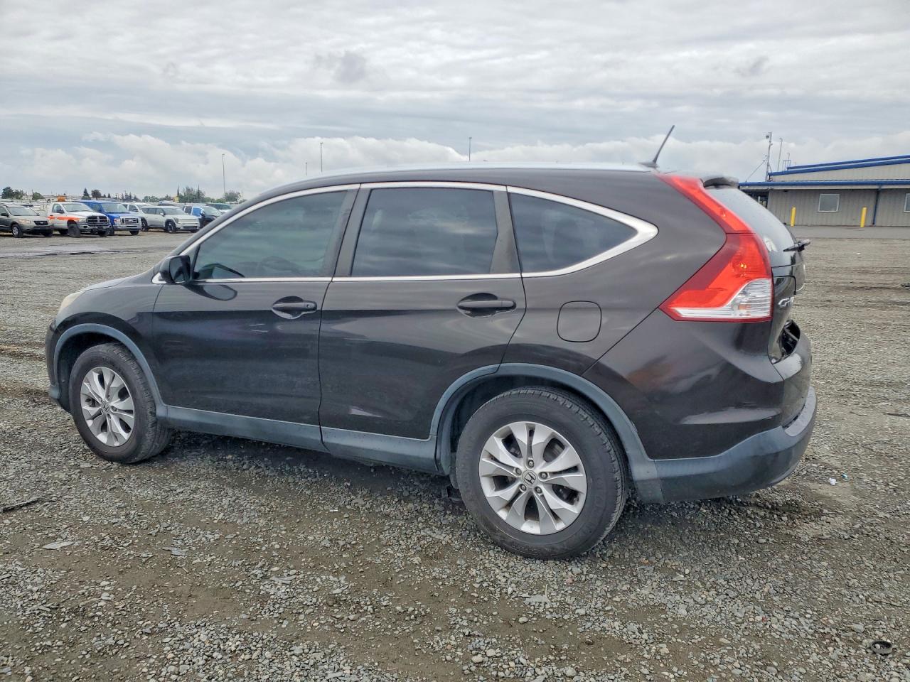 2014 Honda Cr-v Exl Black vin: 2HKRM3H76EH553213