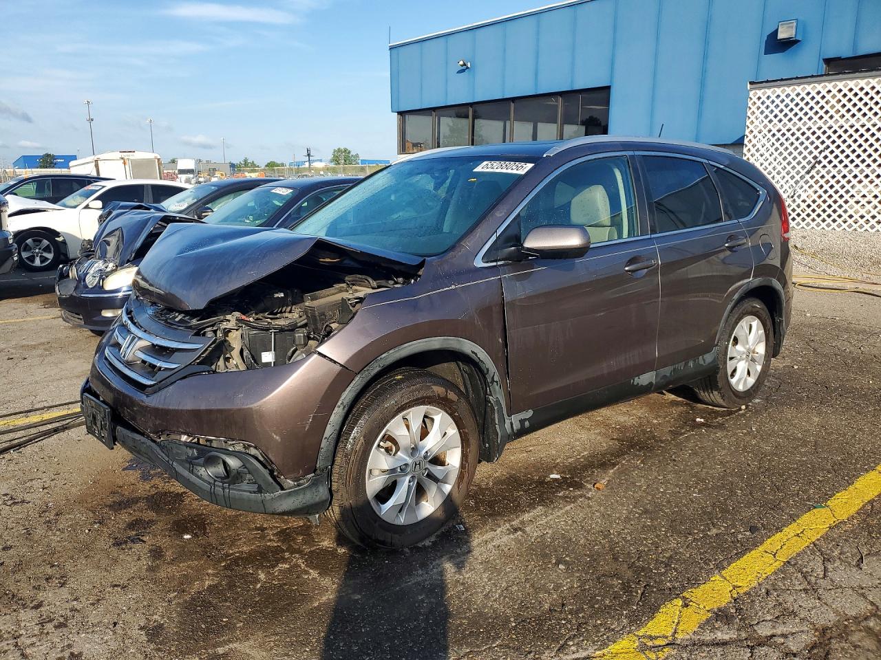 2014 Honda Cr-v Exl Brown vin: 2HKRM3H79EH546837