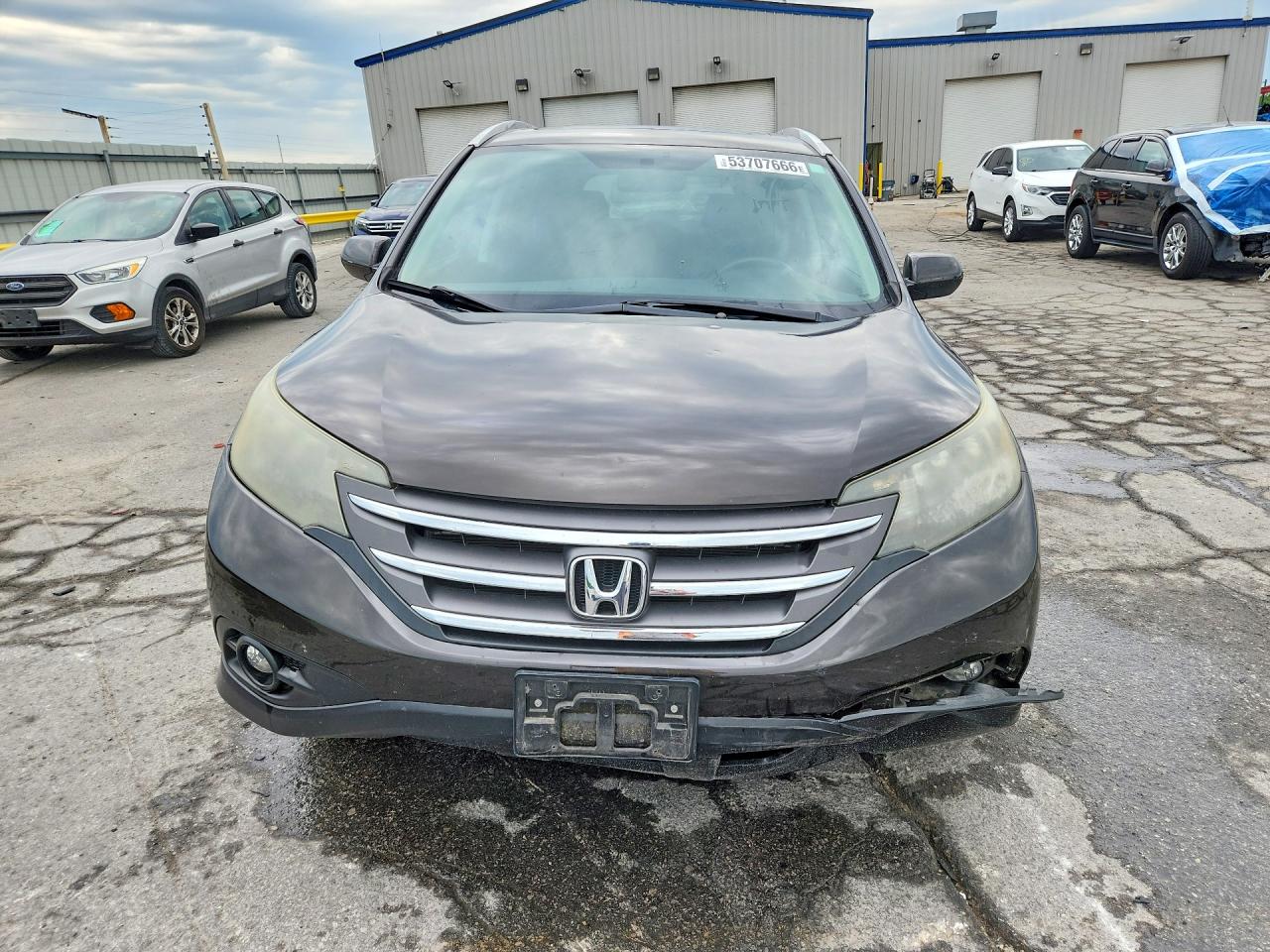 2014 Honda Cr-v Exl Gray vin: 2HKRM4H70EH654544