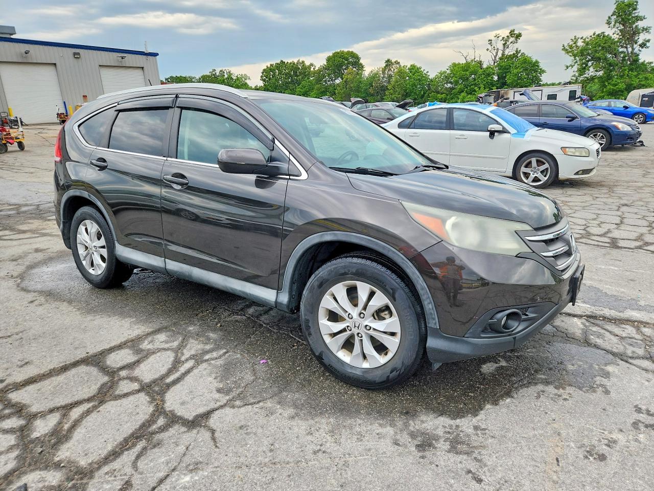 2014 Honda Cr-v Exl Gray vin: 2HKRM4H70EH654544