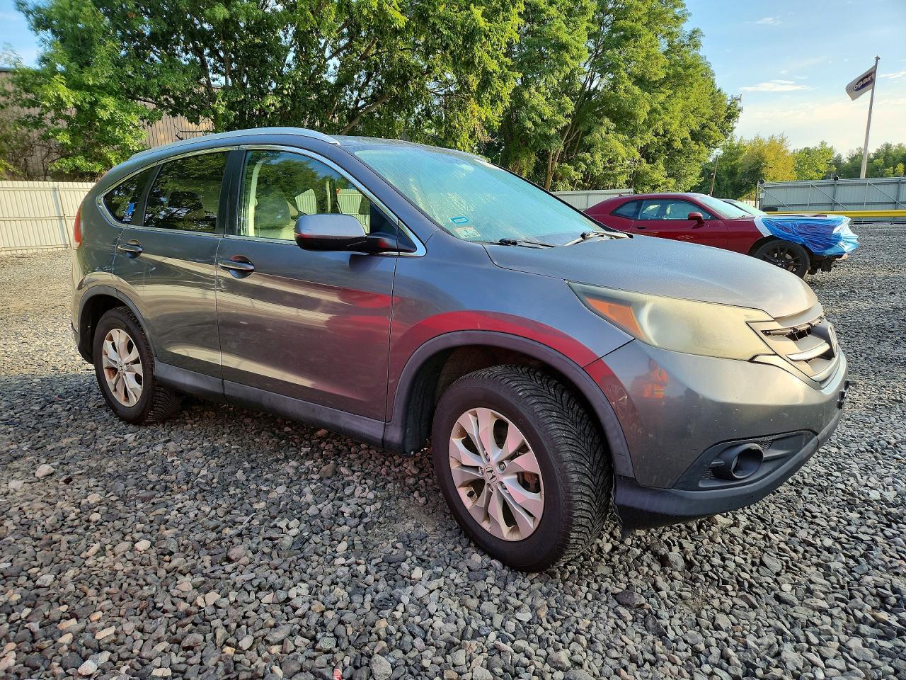 2014 Honda Cr-v Exl Gray vin: 2HKRM4H73EH651573