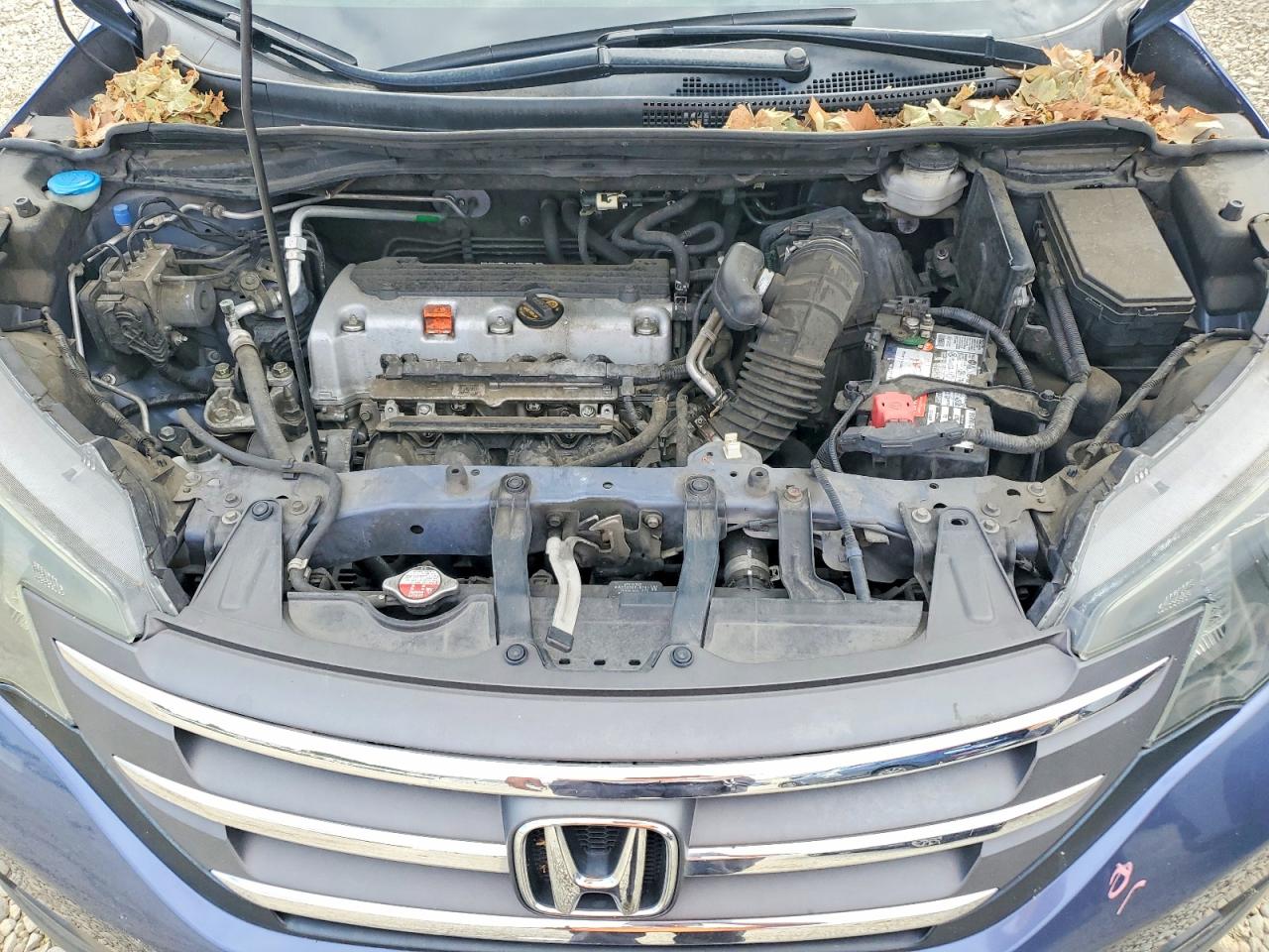 2013 Honda Cr-v Exl Blue vin: 2HKRM4H74DH686900