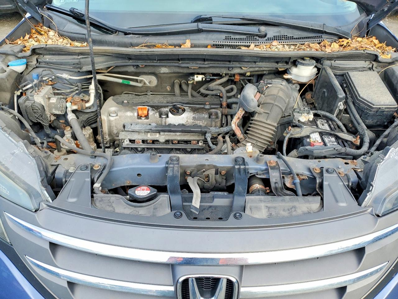 2013 Honda Cr-v Exl Blue vin: 2HKRM4H76DH648407