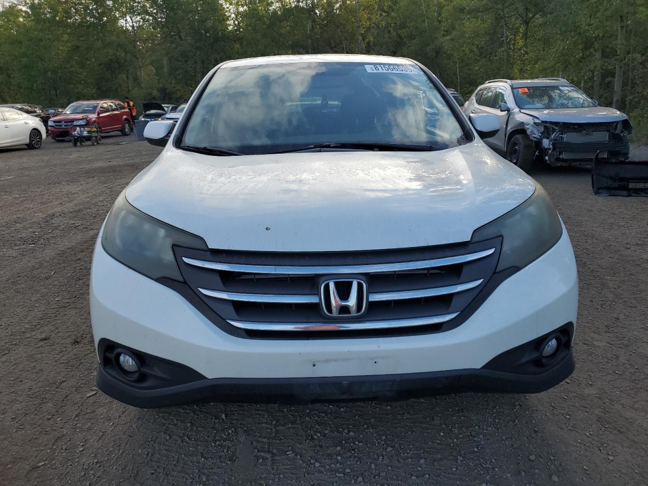 2014 Honda Cr-v Exl White vin: 2HKRM4H77EH105813