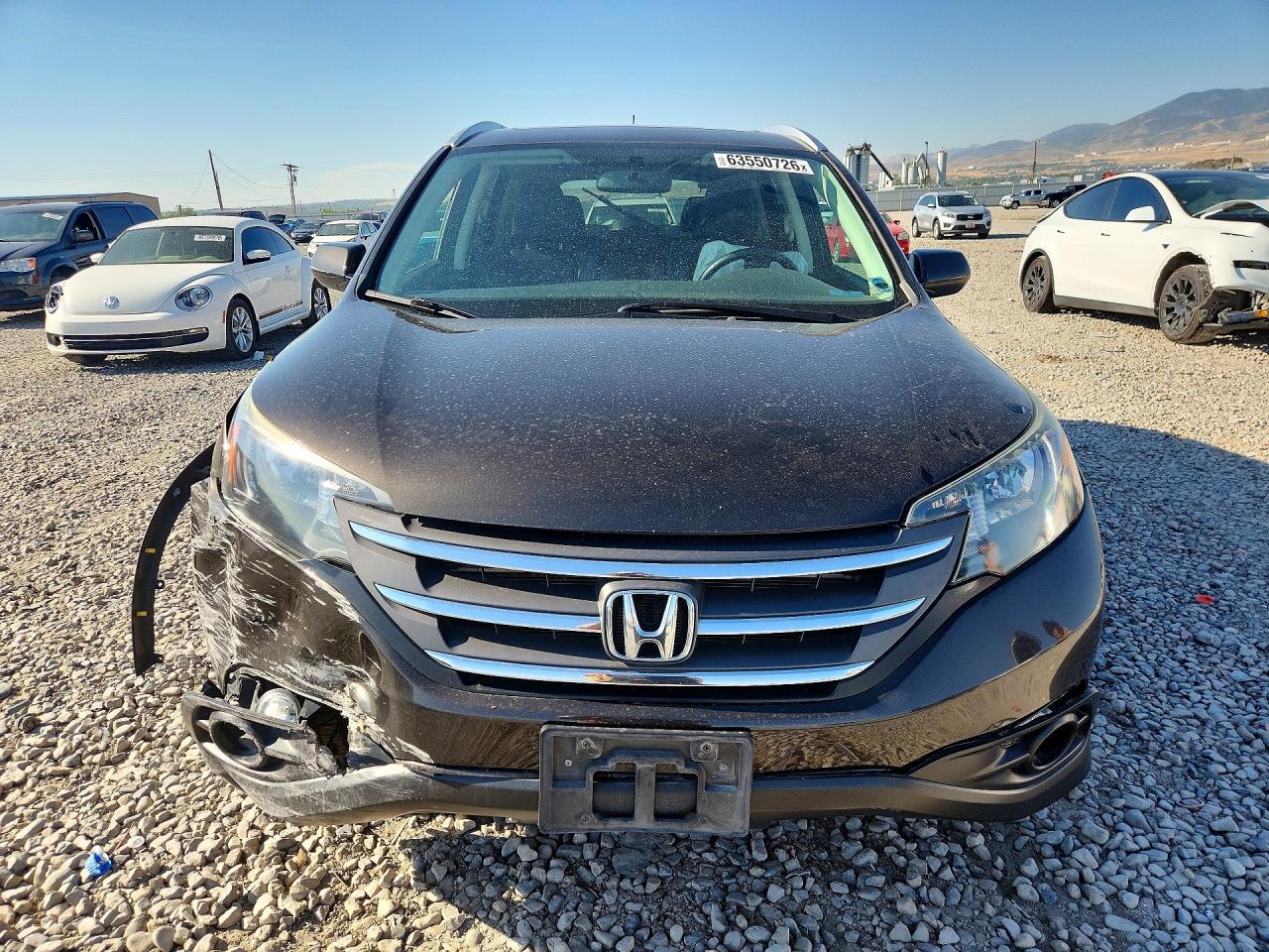 2014 Honda Cr-v Exl Brown vin: 2HKRM4H77EH657800