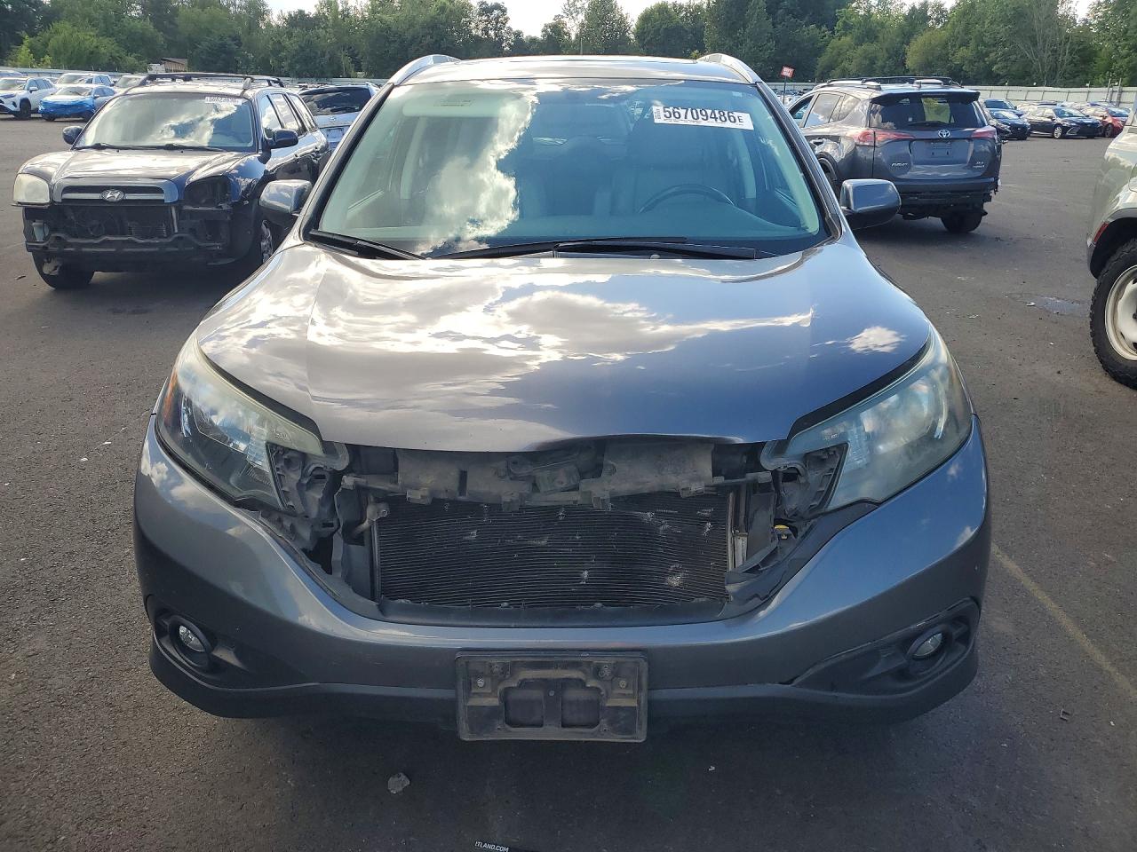 2013 Honda Cr-v Exl Gray vin: 2HKRM4H7XDH695035