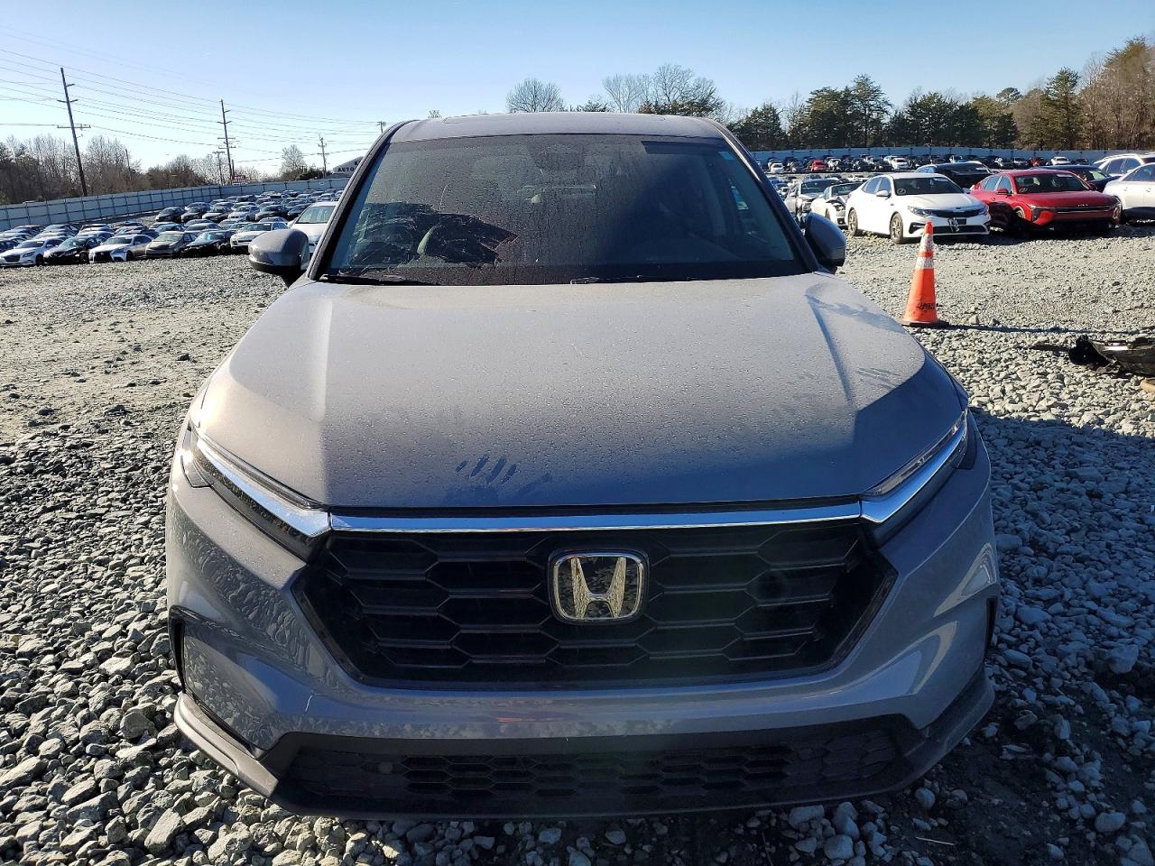 2025 Honda Cr-v Exl Gray vin: 2HKRS3H76SH320580