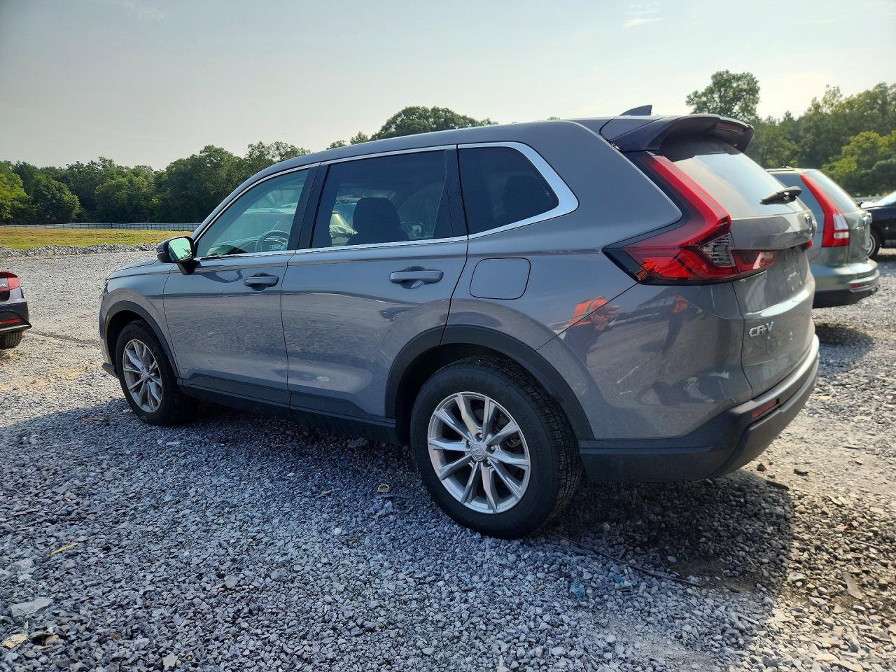 2024 Honda Cr-v Exl Gray vin: 2HKRS4H70RH437426