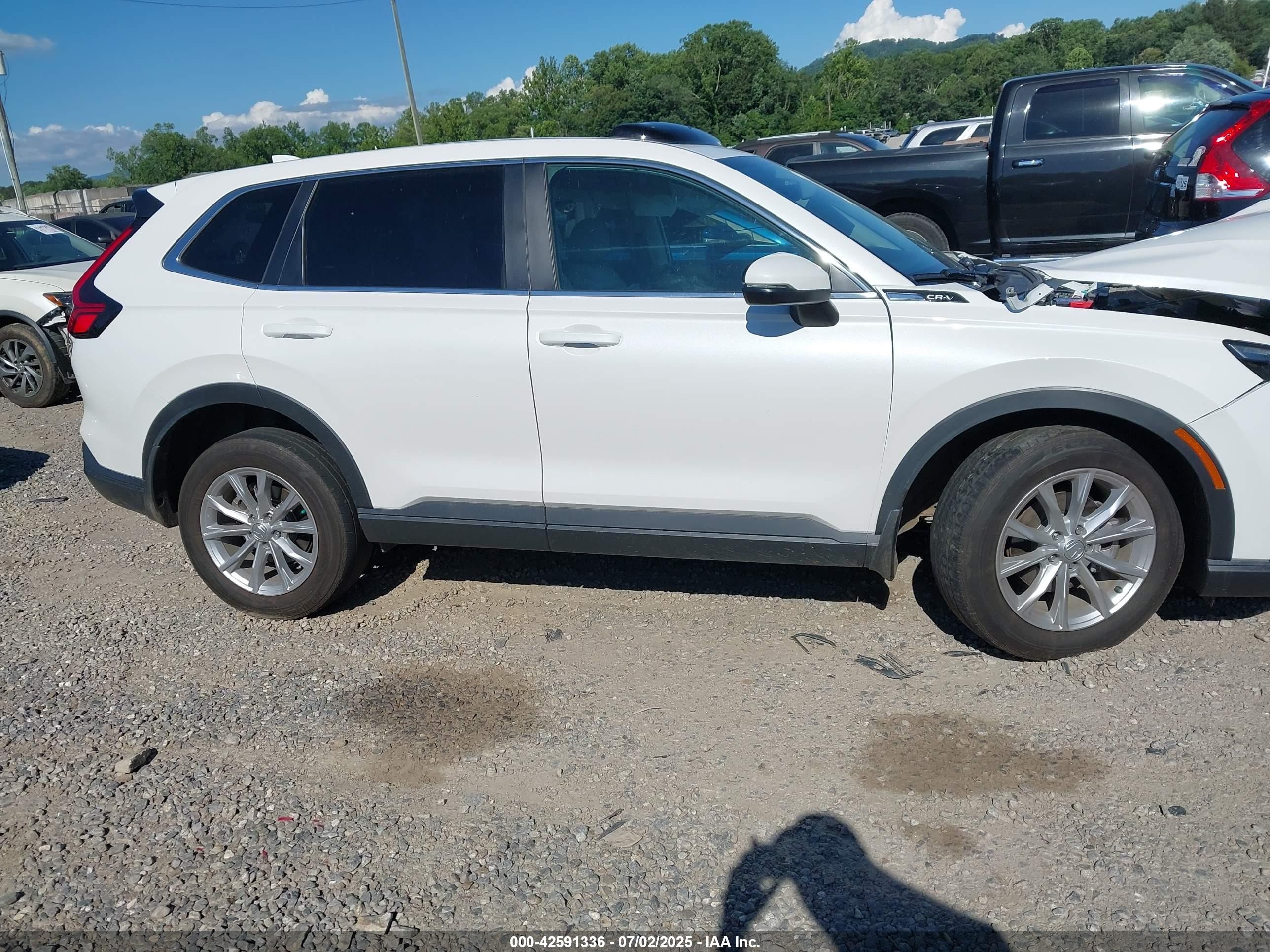 2024 Honda Cr-v Ex-l Awd White vin: 2HKRS4H73RH429398