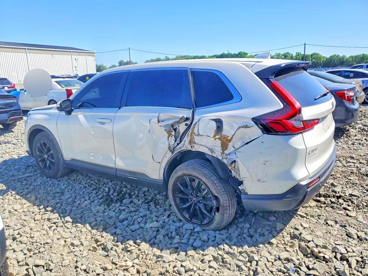 2024 Honda Cr-v Exl White vin: 2HKRS4H73RH429398