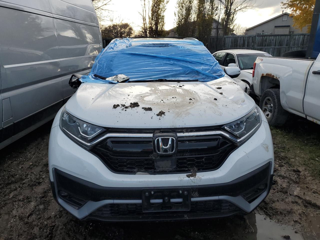2022 Honda Cr-v Sport White vin: 2HKRW2H48NH203513