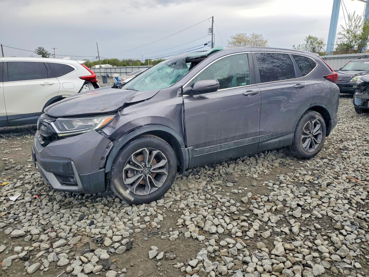 2021 Honda Cr-v Ex Gray vin: 2HKRW2H59MH618556
