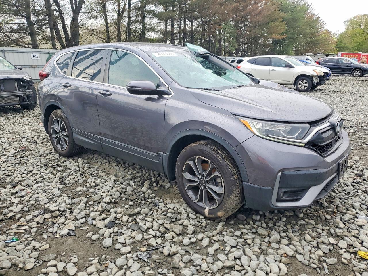 2021 Honda Cr-v Ex Gray vin: 2HKRW2H59MH618556