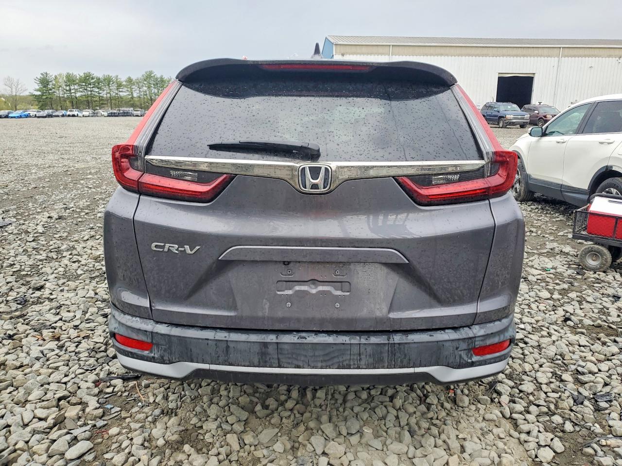 2021 Honda Cr-v Ex Gray vin: 2HKRW2H59MH618556