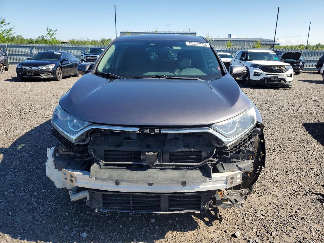 2019 Honda Cr-v Exl Gray vin: 2HKRW2H82KH118083