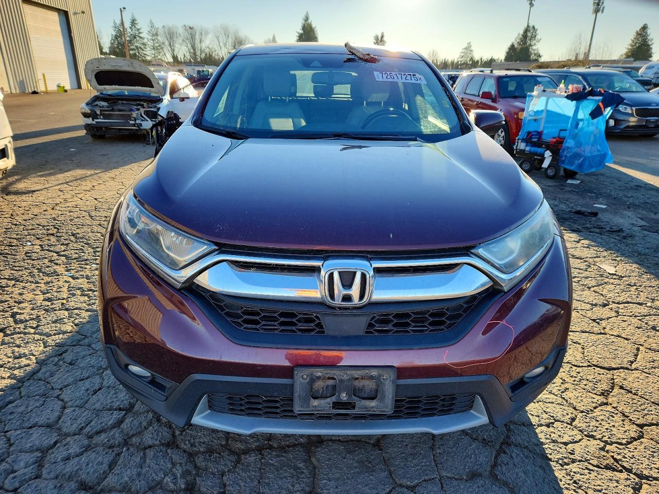 2017 Honda Cr-v Exl Burgundy vin: 2HKRW2H86HH645990
