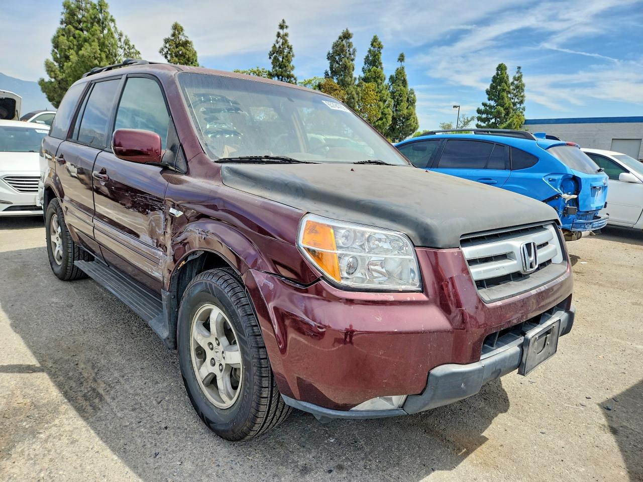 2007 Honda Pilot Ex Burgundy vin: 2HKYF18487H509393