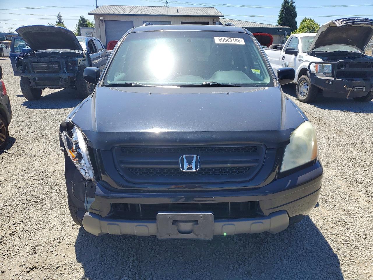 2005 Honda Pilot Exl Black vin: 2HKYF18515H555850