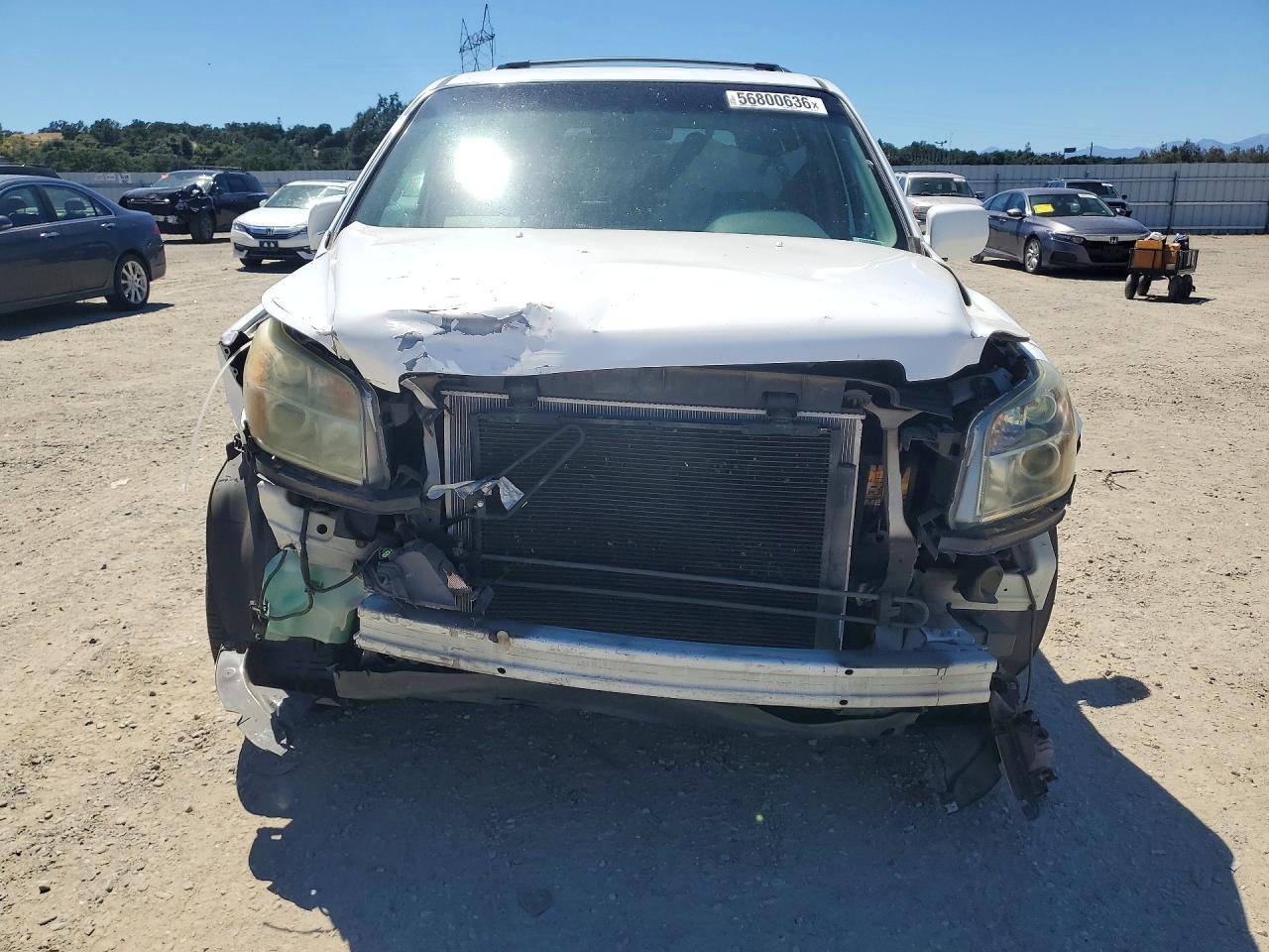2006 Honda Pilot Ex White vin: 2HKYF18526H553137