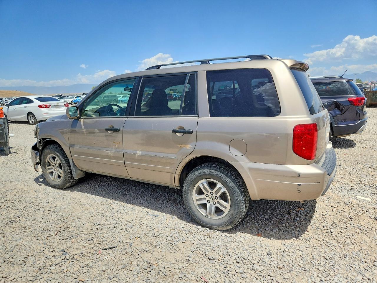 2004 Honda Pilot Exl Желто-коричневый vin: 2HKYF18544H569837