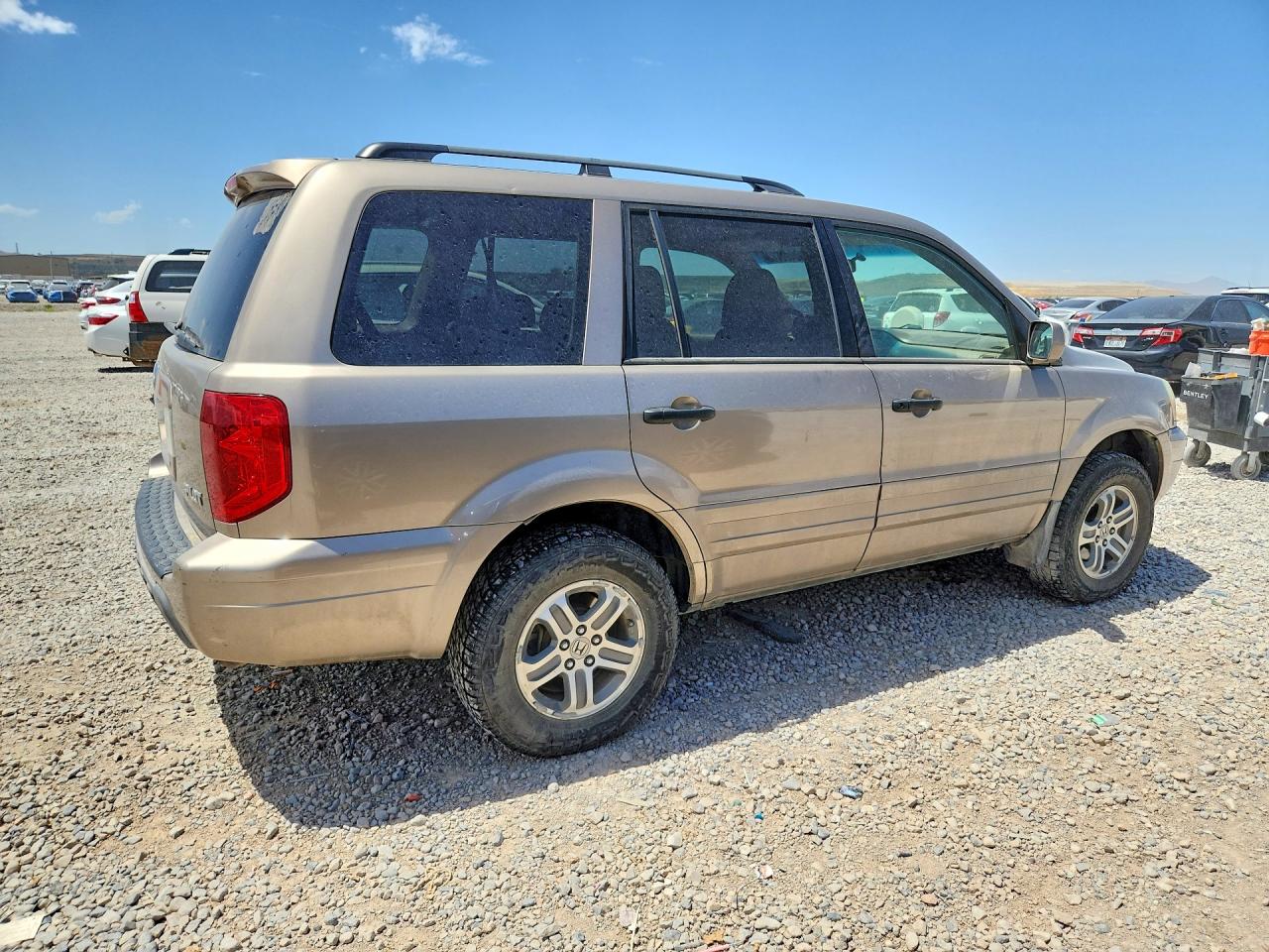 2004 Honda Pilot Exl Желто-коричневый vin: 2HKYF18544H569837