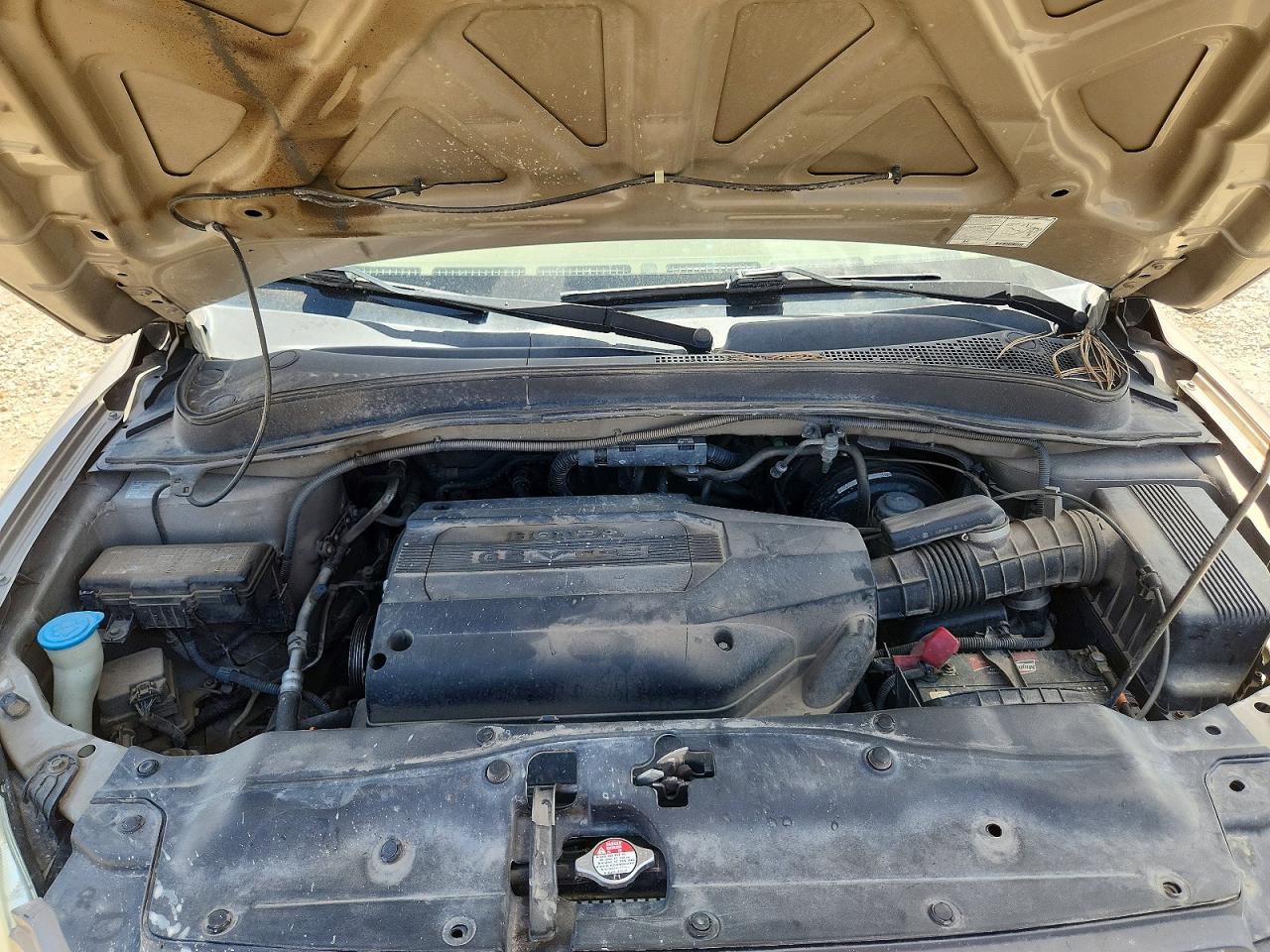 2004 Honda Pilot Exl Желто-коричневый vin: 2HKYF18544H569837