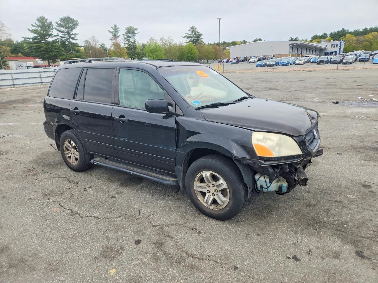 2005 Honda Pilot Exl Black vin: 2HKYF18565H518471