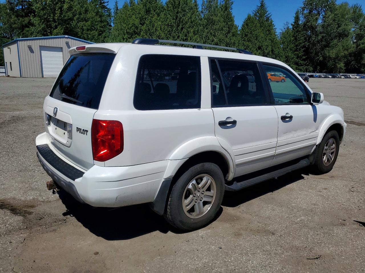 2005 Honda Pilot Exl White vin: 2HKYF186X5H551739