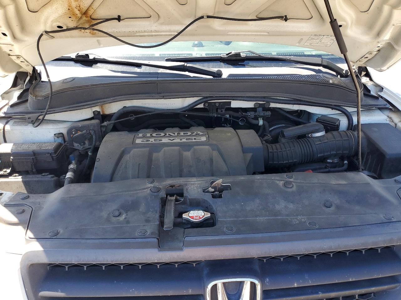 2005 Honda Pilot Exl White vin: 2HKYF186X5H551739
