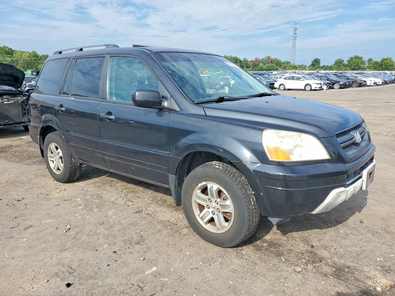 2005 Honda Pilot Exl Black vin: 2HKYF18795H545388