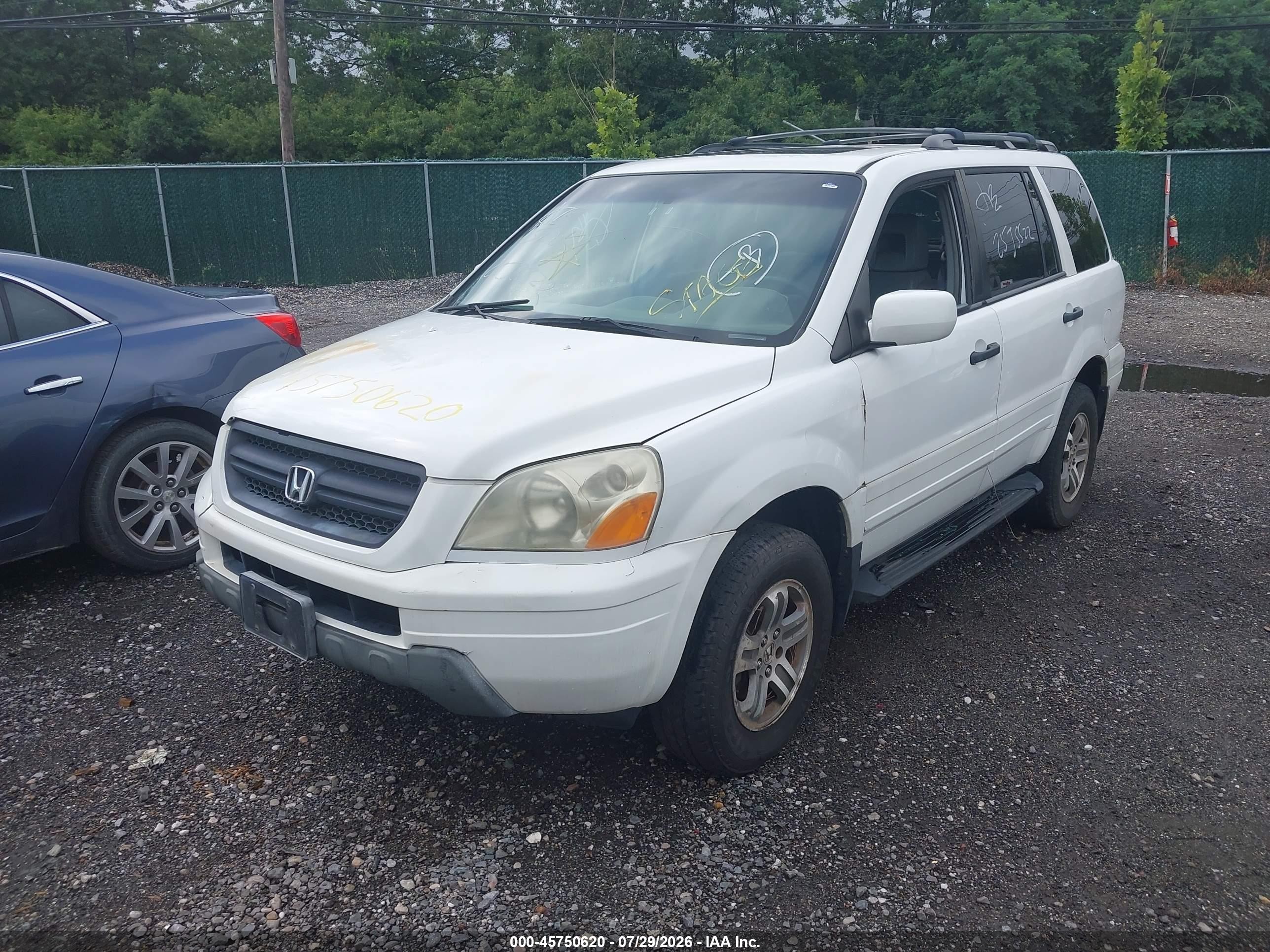 2005 Honda Pilot Ex-l Белый vin: 2HKYF187X5H546016