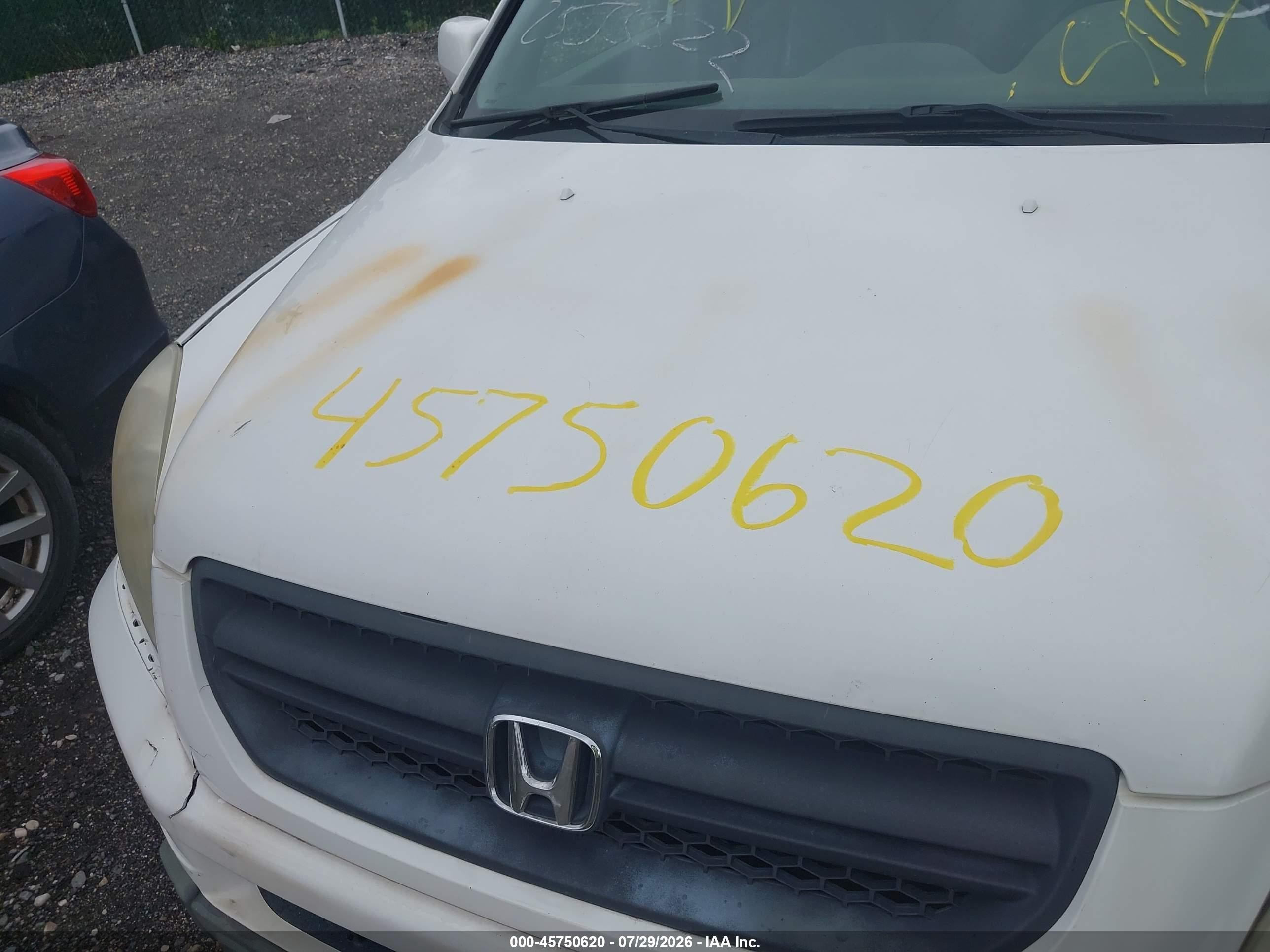 2005 Honda Pilot Ex-l Белый vin: 2HKYF187X5H546016