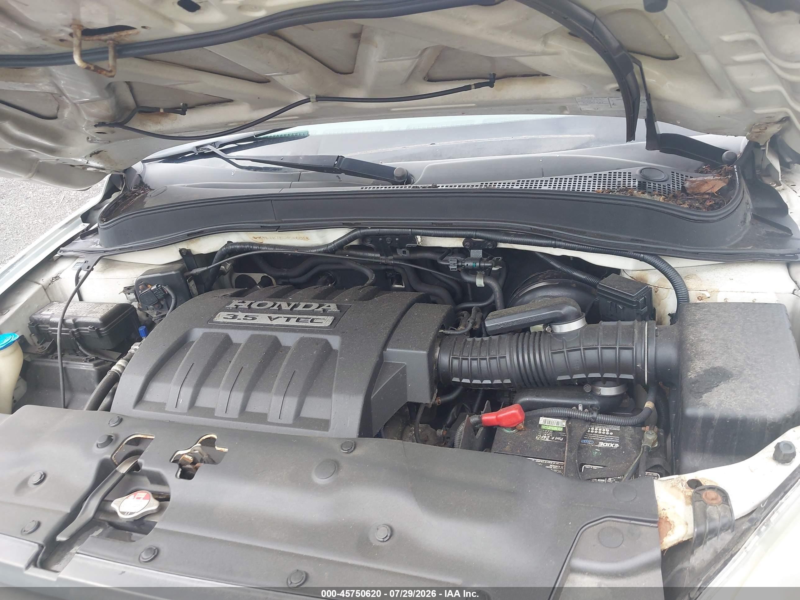 2005 Honda Pilot Ex-l Белый vin: 2HKYF187X5H546016