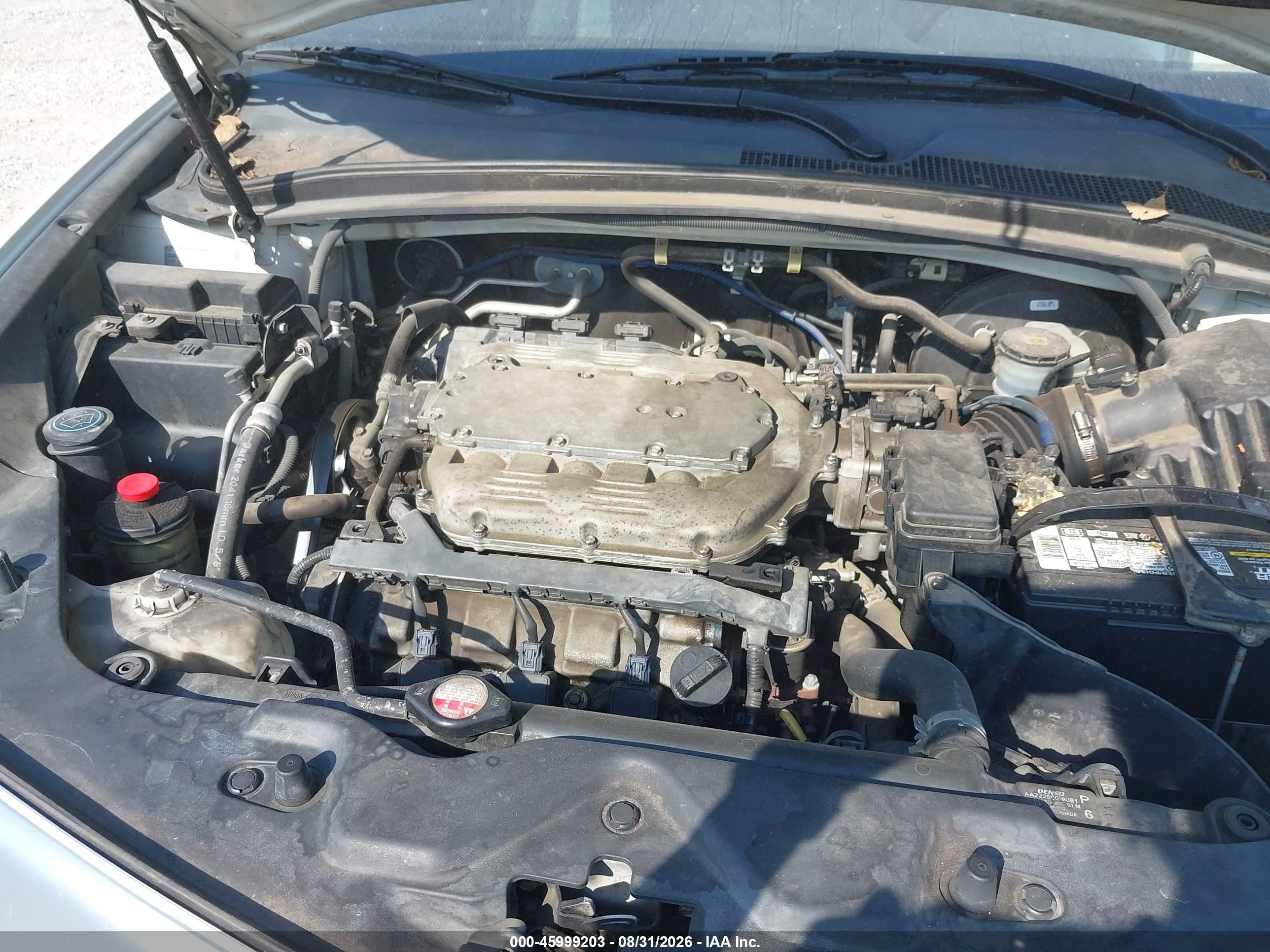 2010 Acura Zdx White vin: 2HNYB1H69AH501097