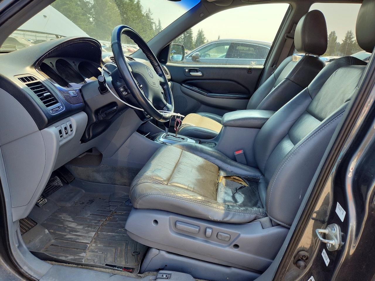 2006 Acura Mdx Touring Teal vin: 2HNYD18846H530848