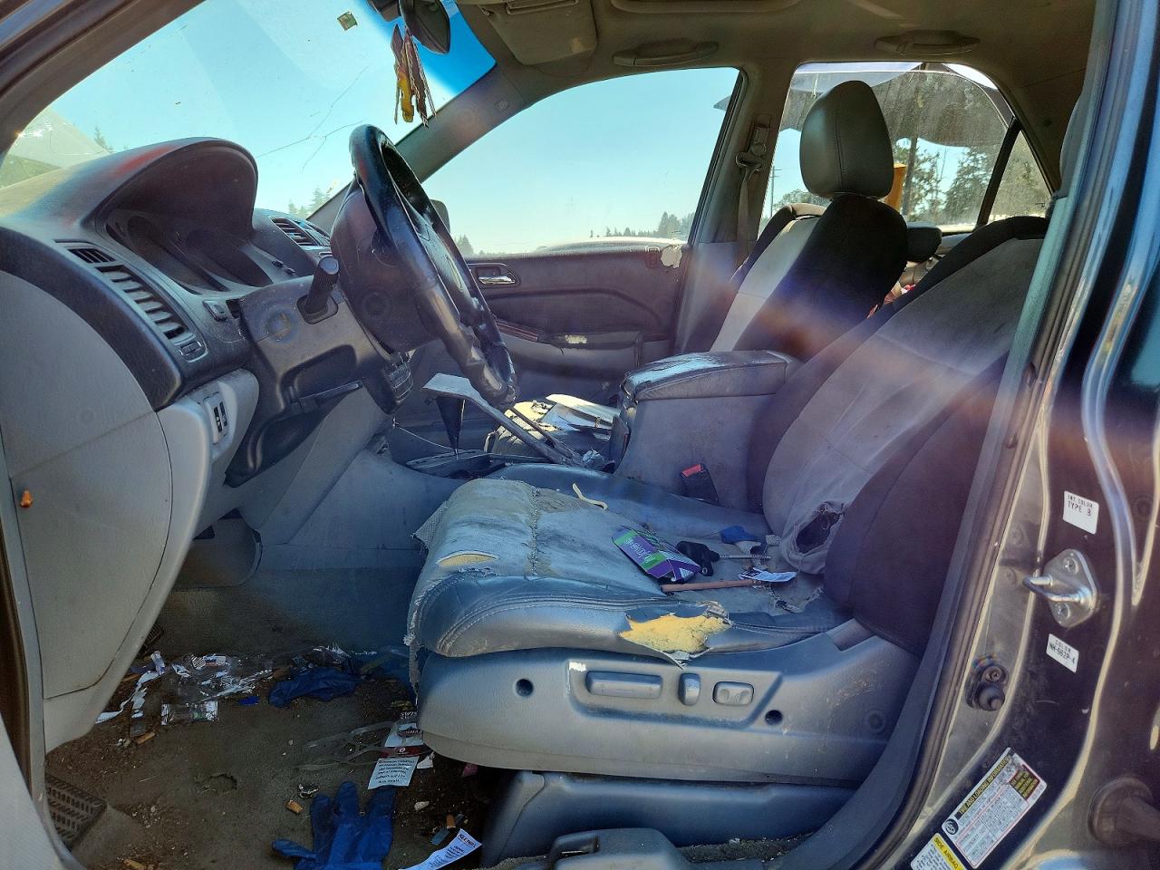 2005 Acura Mdx Touring Blue vin: 2HNYD18915H504652