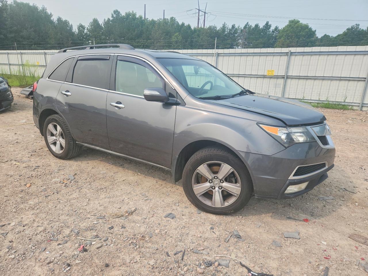 2010 Acura Mdx Silver vin: 2HNYD2H20AH501227
