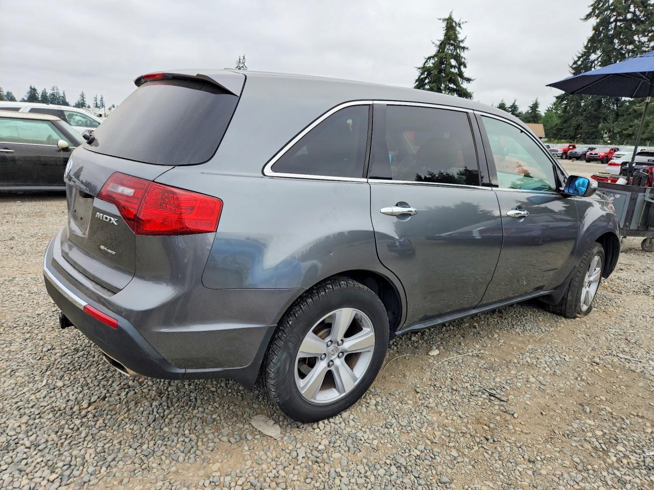 2010 Acura Mdx Gray vin: 2HNYD2H23AH516465