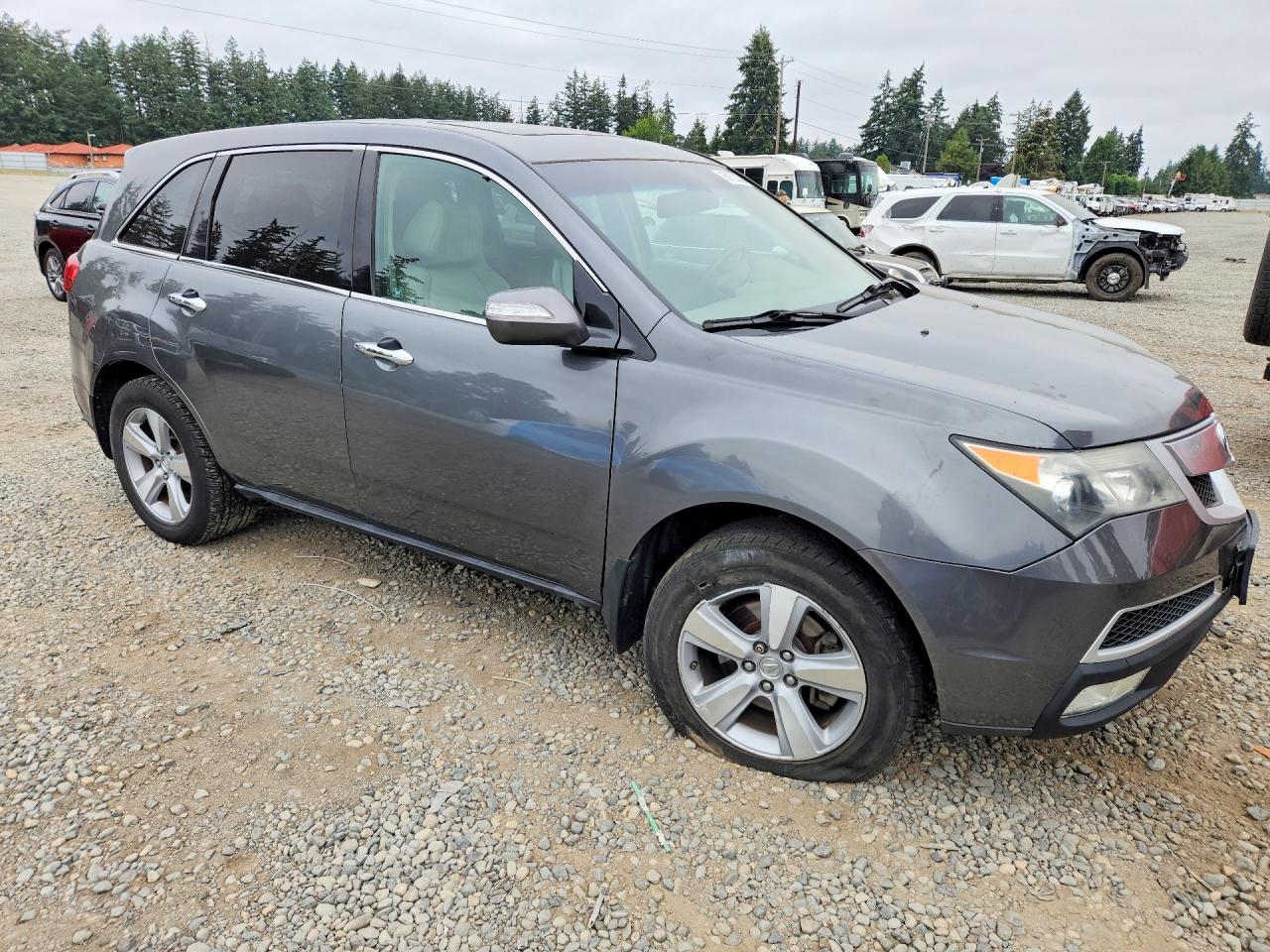 2010 Acura Mdx Gray vin: 2HNYD2H23AH516465