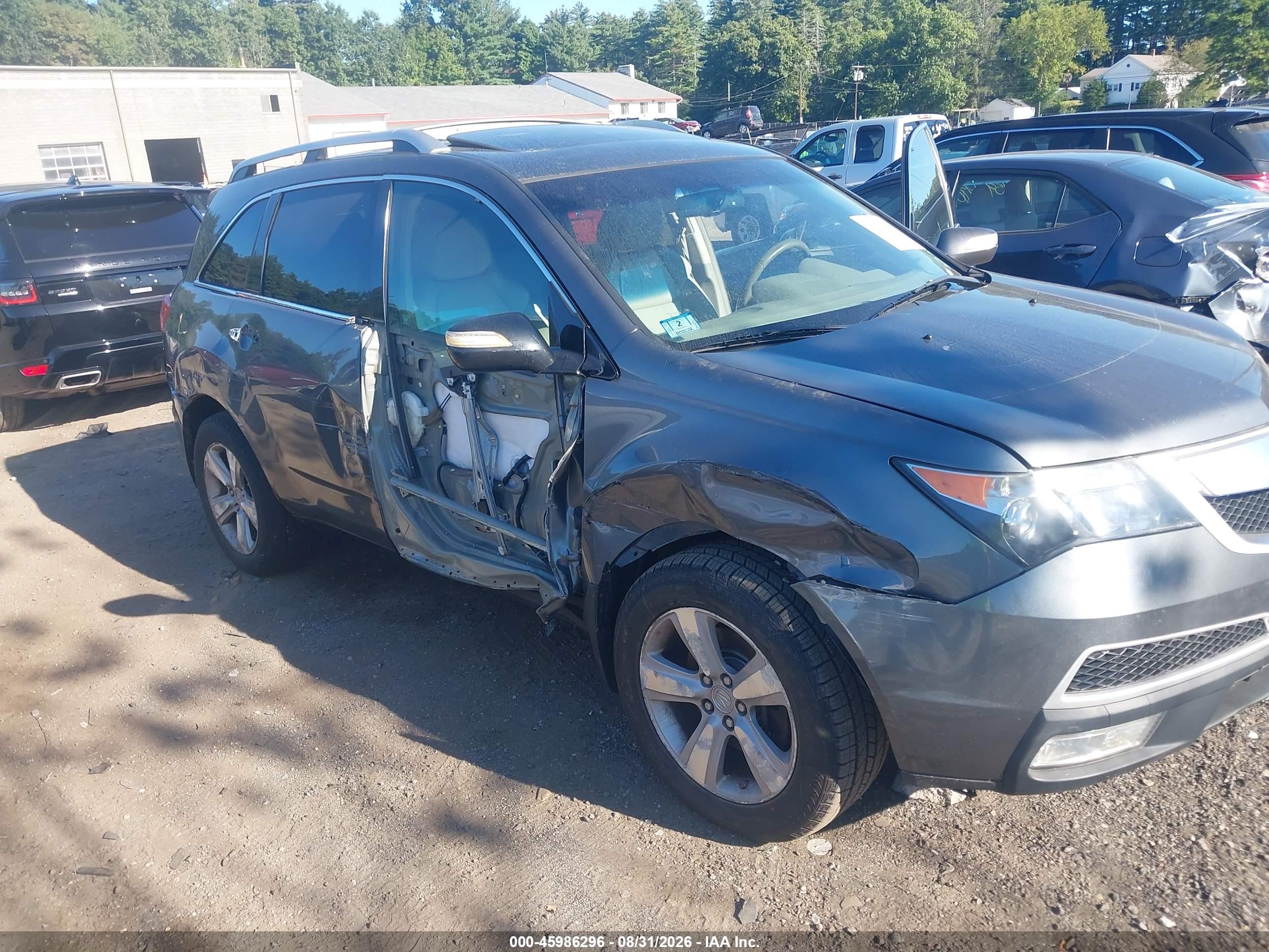 2011 Acura Mdx Technology Package Gold vin: 2HNYD2H63BH521167
