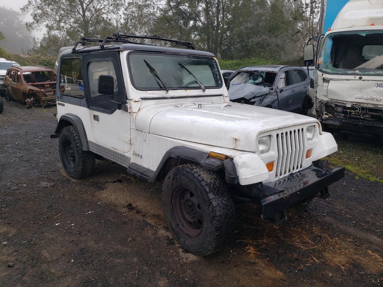 1989 Jeep Wrangler / Yj Белый vin: 2J4FY29T5KJ144320
