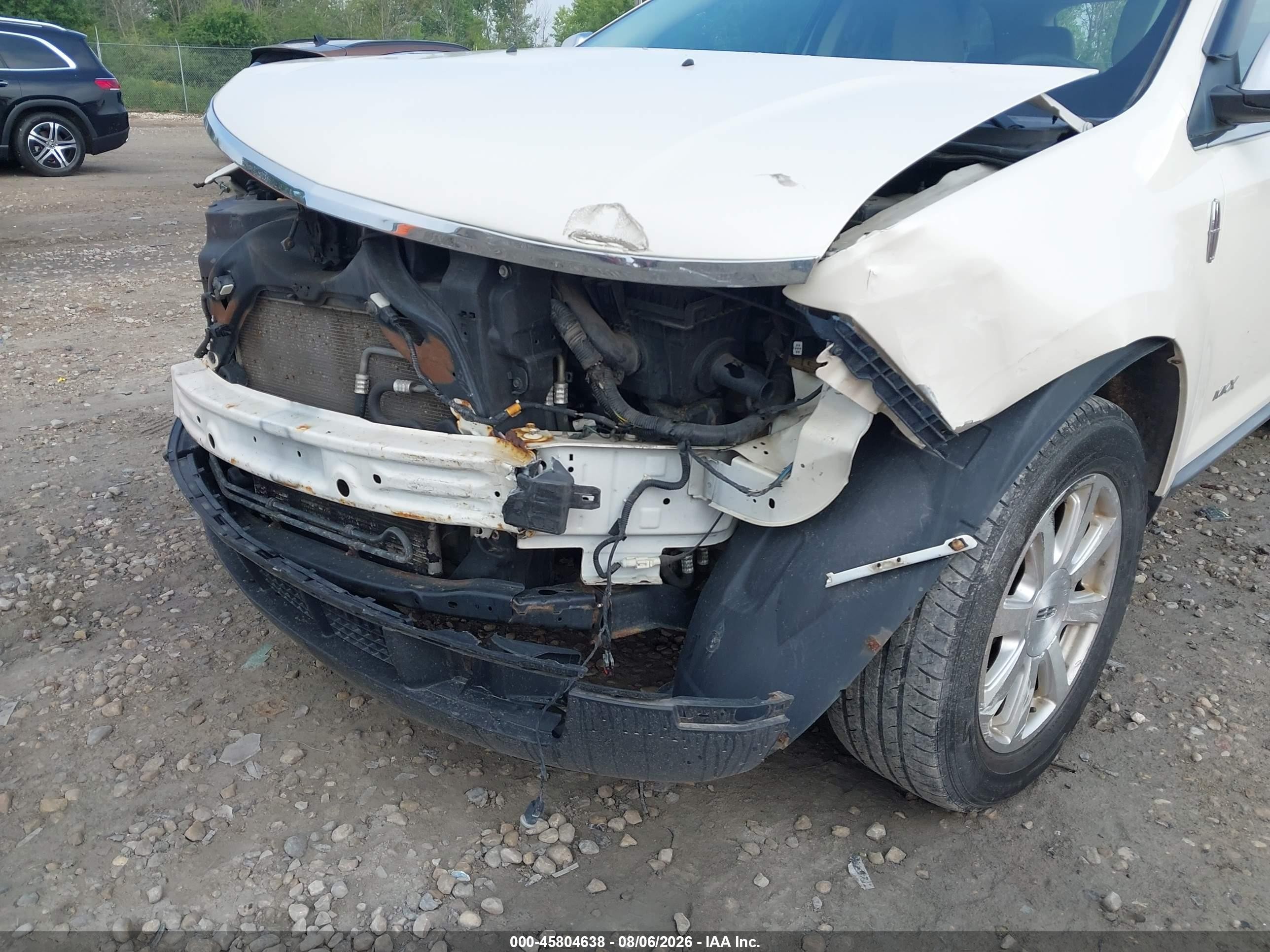 2008 Lincoln Mkx   Beige vin: 2LMDU68C48BJ12740