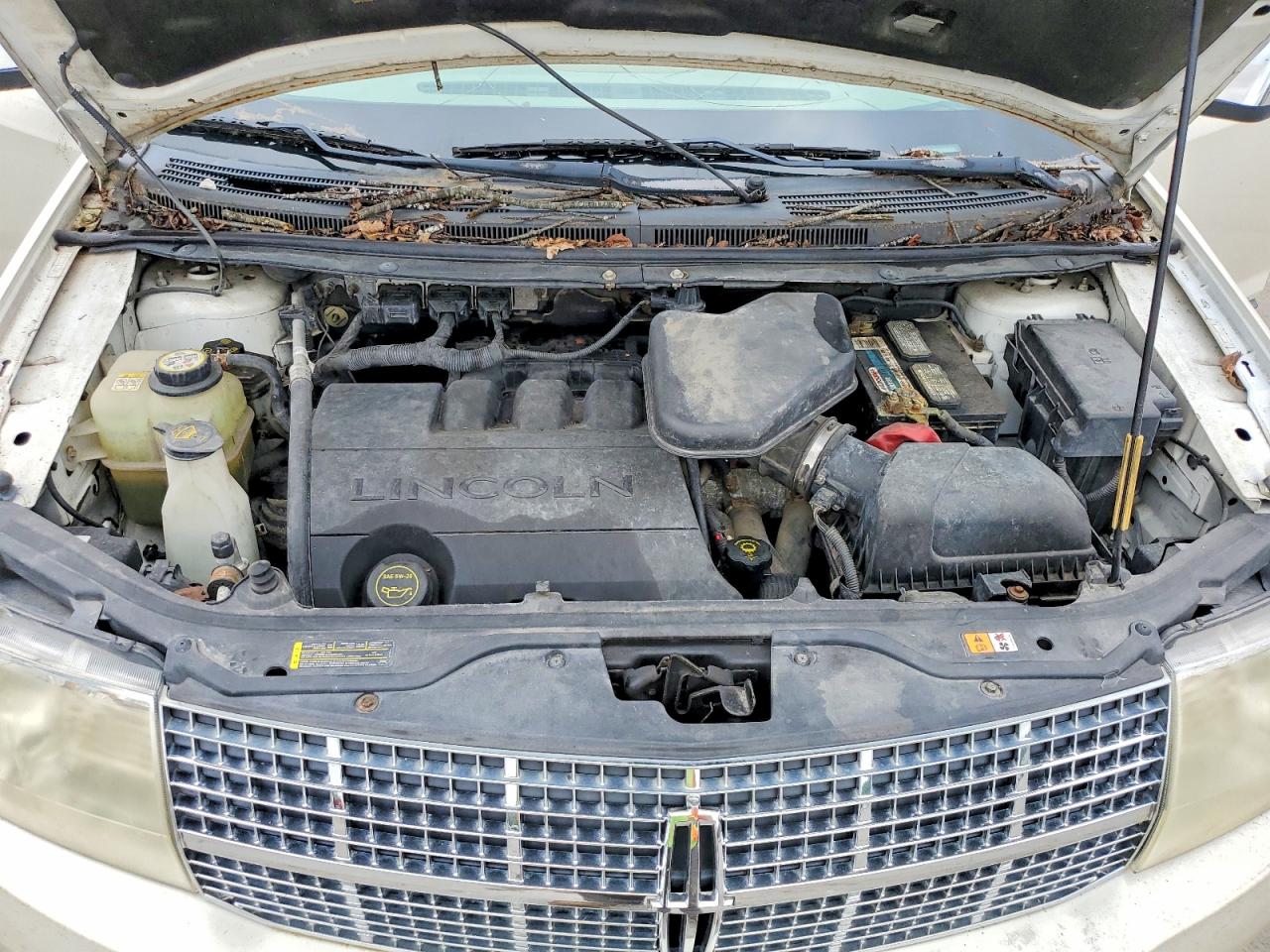 2007 Lincoln Mkx Cream vin: 2LMDU68C77BJ36125