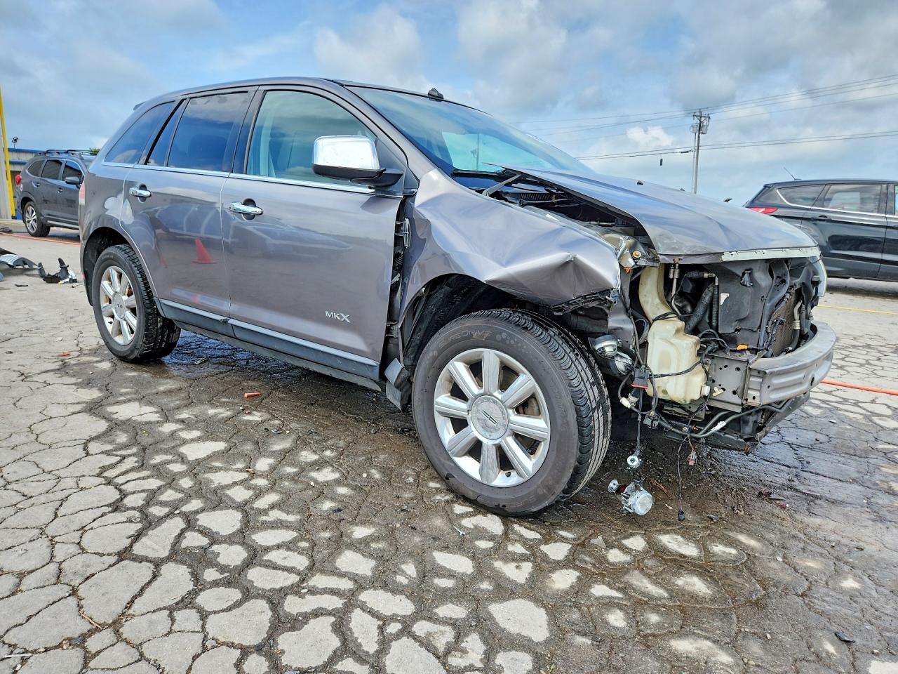 2009 Lincoln Mkx Gray vin: 2LMDU68C79BJ07842