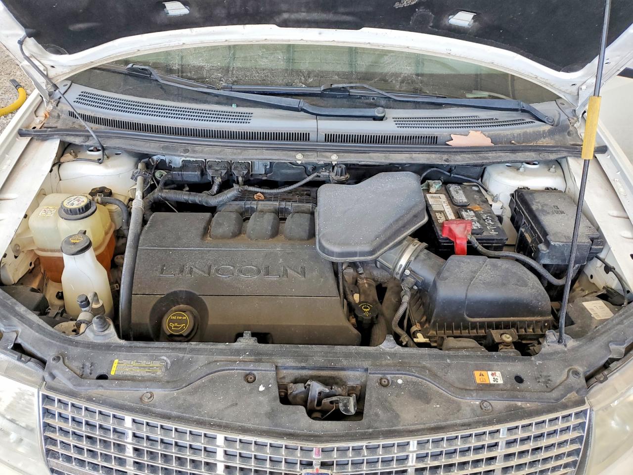2008 Lincoln Mkx Black Label Cream vin: 2LMDU88C88BJ03518