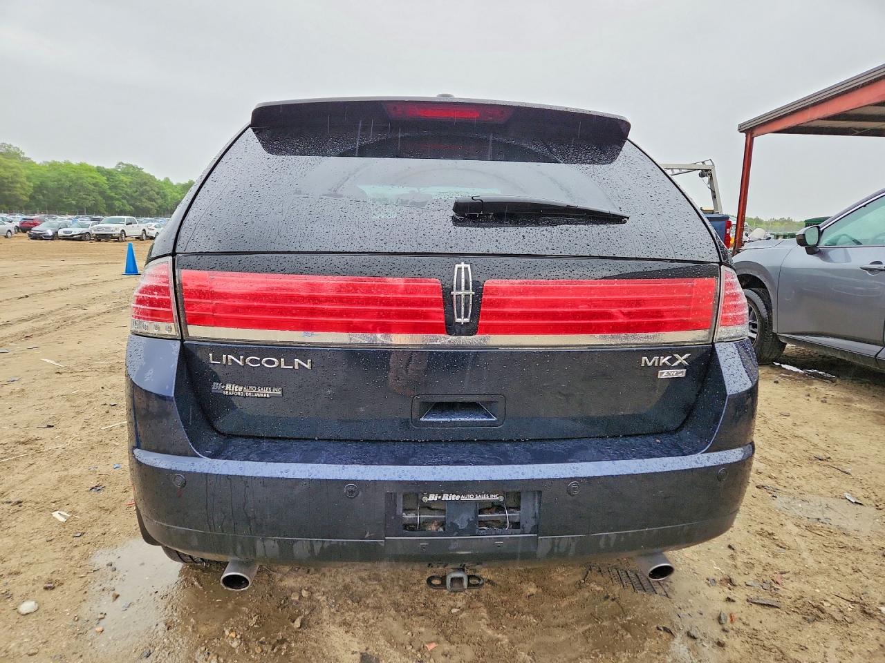 2009 Lincoln Mkx Blue vin: 2LMDU88C89BJ07831