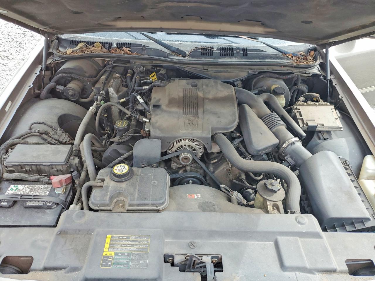 2005 Mercury Grand Marquis Ls Gold vin: 2MEFM75W25X649780