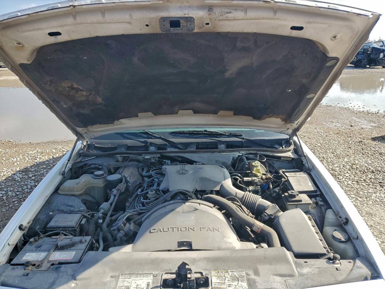 1996 Mercury Grand Marquis White vin: 2MELM75W0TX670630