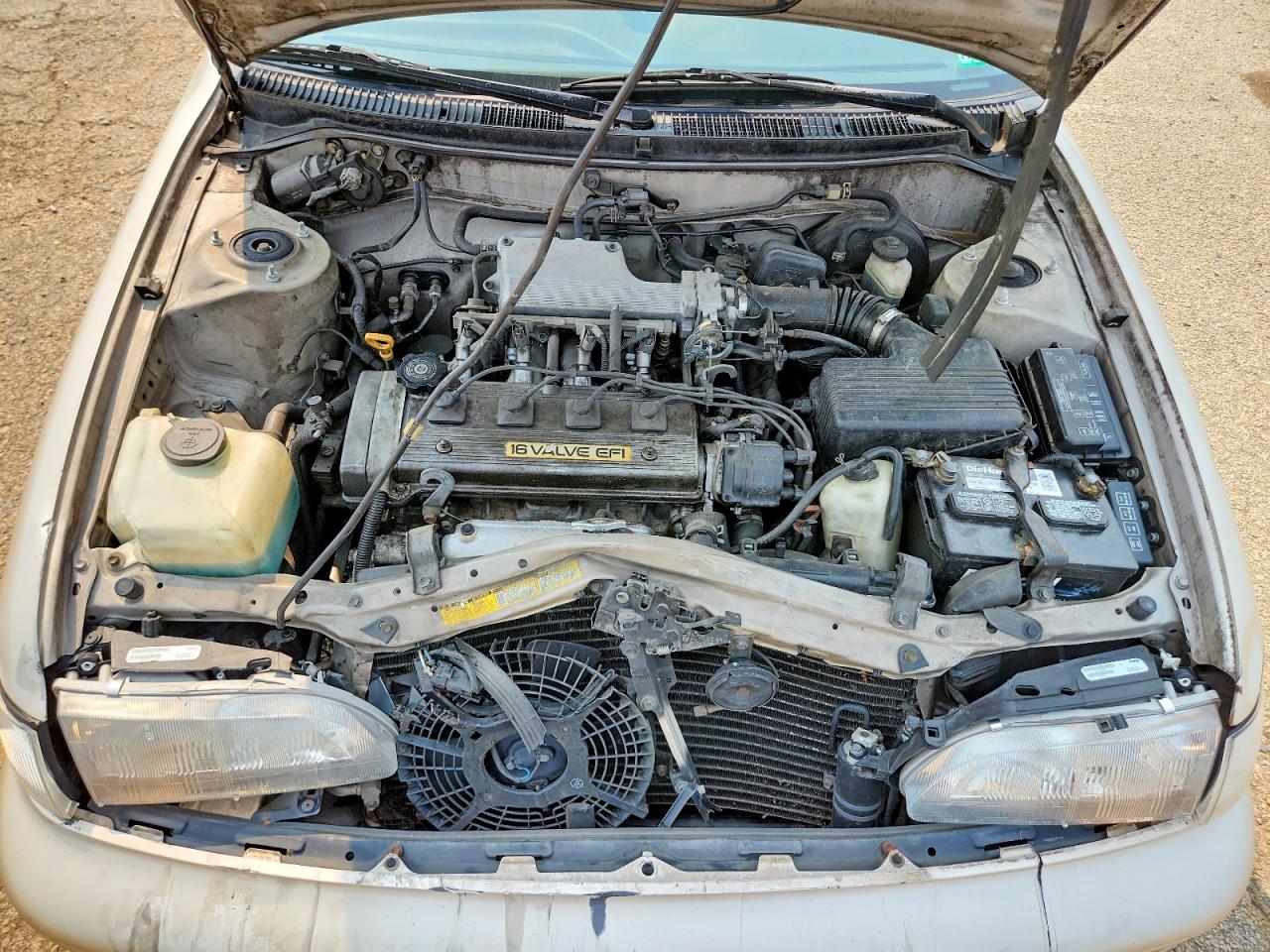 1994 Toyota Corolla Dx Gold vin: 2T1AE09BXRC073731